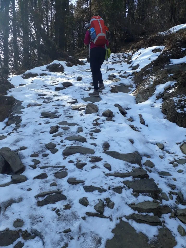 Steep Stone Trail Ascent to Meadows