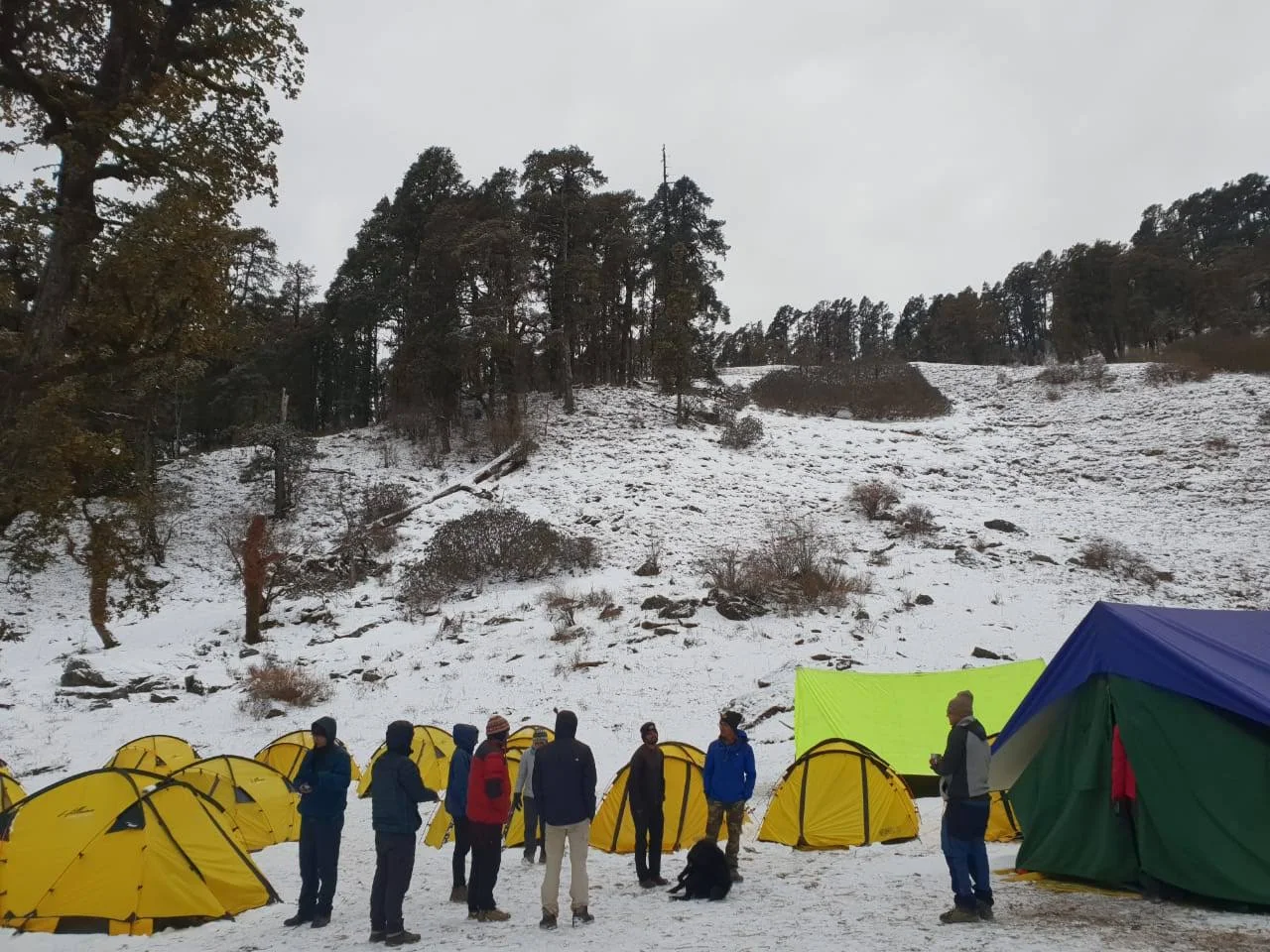 Expedition Camp & Yellow Dome Tents