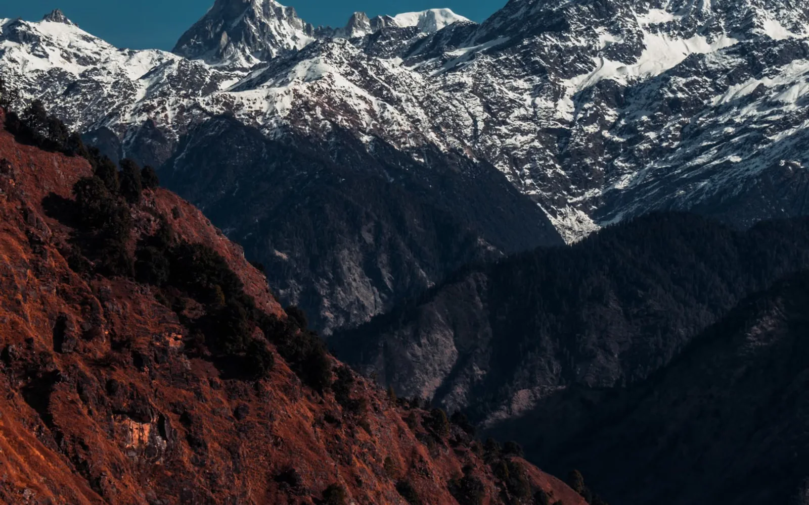 Panoramic Himalayan Views