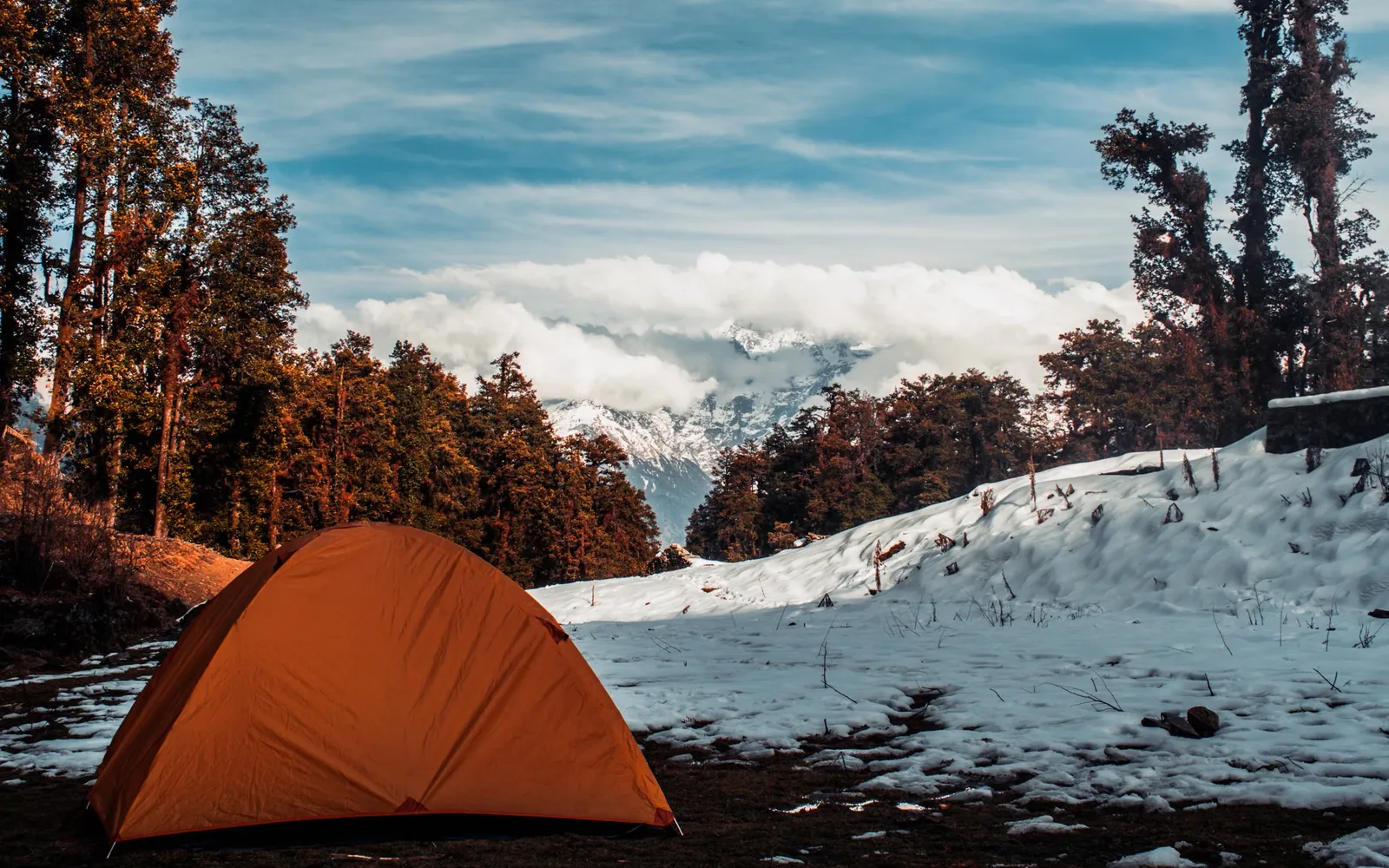 Endless Alpine Meadows