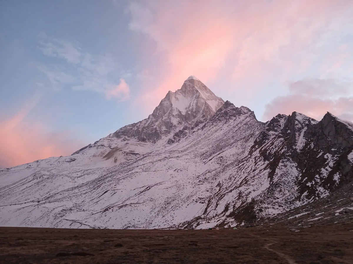 Alpenglow over Mt. Shivling (6,543 m) from Tapovan