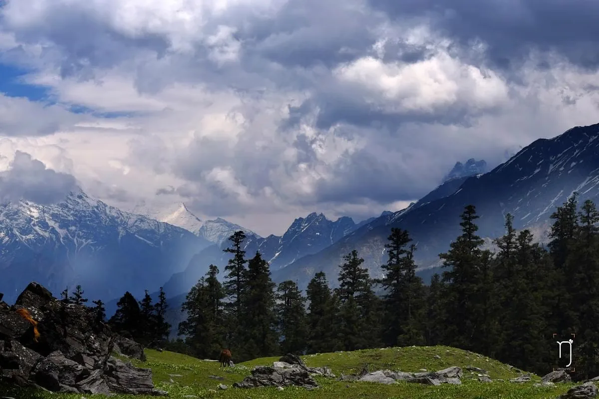Alpine Camp at Khullara Snowfield