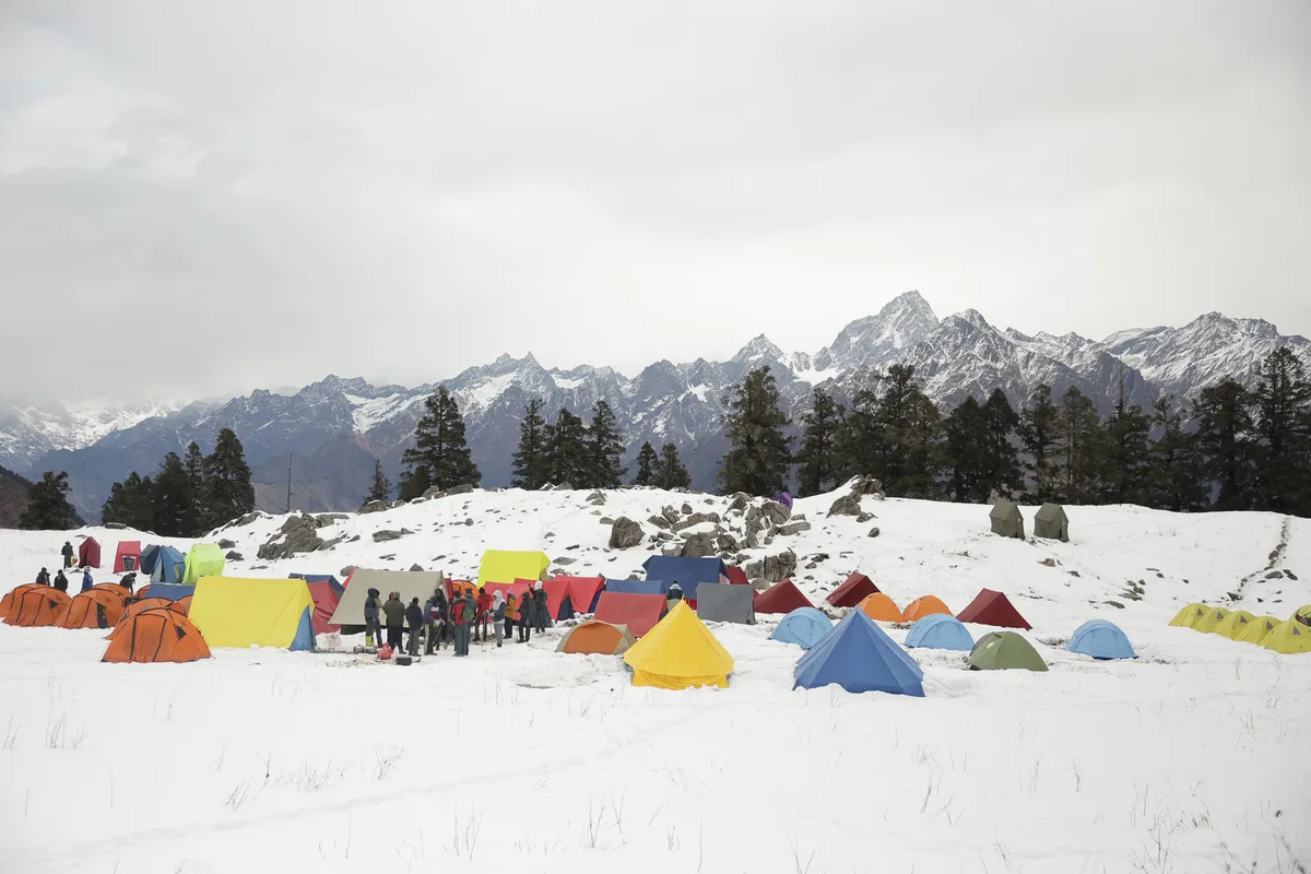 Alpine Meadows & Oak Forests